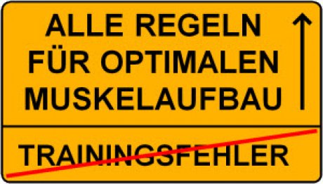 Regeln, Tipps und Tricks für optimalen Muskelaufba